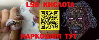 прущие грибы Краснознаменск