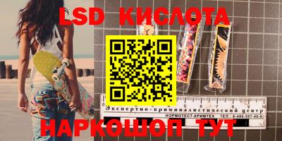 прущие грибы Краснознаменск