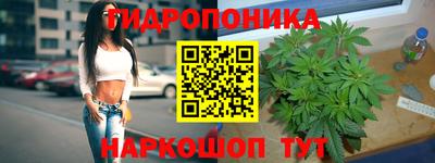 прущие грибы Краснознаменск