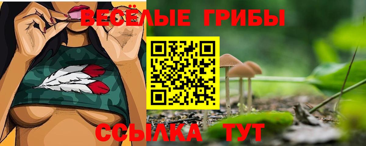 Златоуст  Псилоцибиновые грибы мицелий  Вход с VPN  Галлюциногенные грибы ЛСД 